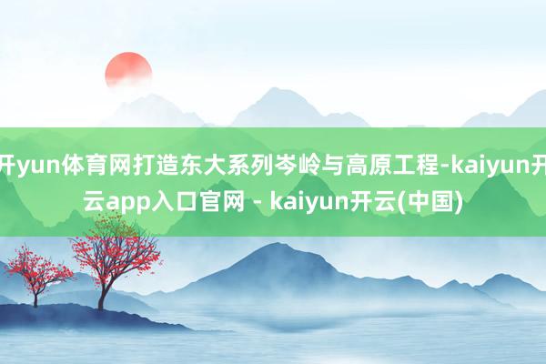 开yun体育网打造东大系列岑岭与高原工程-kaiyun开云app入口官网 - kaiyun开云(中国)