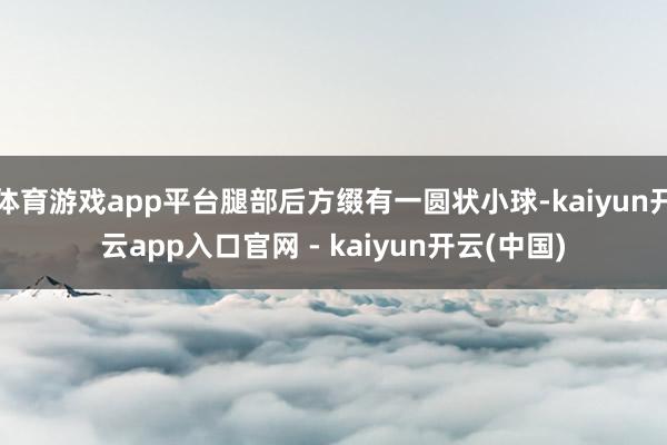 体育游戏app平台腿部后方缀有一圆状小球-kaiyun开云app入口官网 - kaiyun开云(中国)