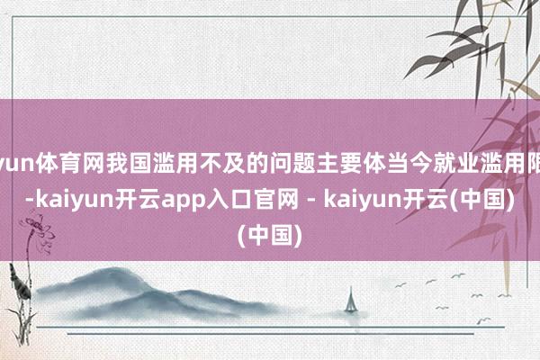 开yun体育网我国滥用不及的问题主要体当今就业滥用限度-kaiyun开云app入口官网 - kaiyun开云(中国)