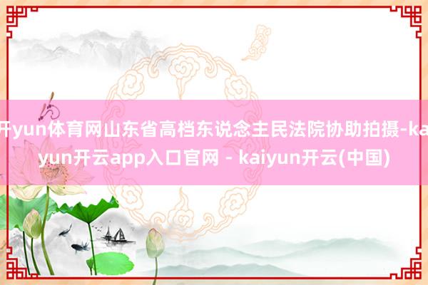 开yun体育网山东省高档东说念主民法院协助拍摄-kaiyun开云app入口官网 - kaiyun开云(中国)