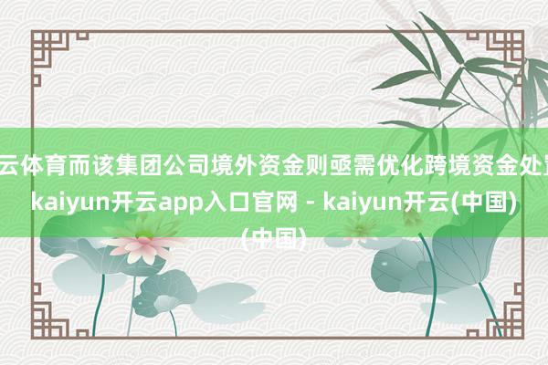 开云体育而该集团公司境外资金则亟需优化跨境资金处置-kaiyun开云app入口官网 - kaiyun开云(中国)