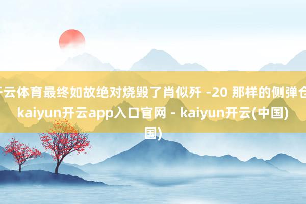 开云体育最终如故绝对烧毁了肖似歼 -20 那样的侧弹仓-kaiyun开云app入口官网 - kaiyun开云(中国)